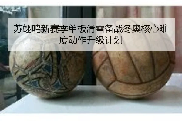 su-yi-ming-xin-sai-ji-dan-ban-hua-xue-bei-zhan-dong-ao-he-xin-nan-du-dong-zuo-sheng-ji-ji-hua-3-504.jpg