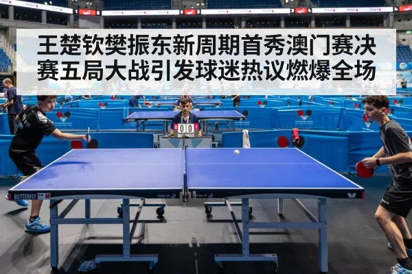 王楚钦樊振东新周期首秀澳门赛决赛五局大战引发球迷热议燃爆全场